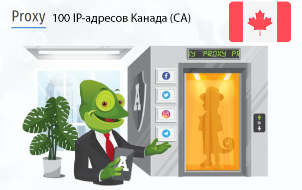 100 прокси оптом Canada (ca) Стоимость 100 пакетных прокси Канада (CA)