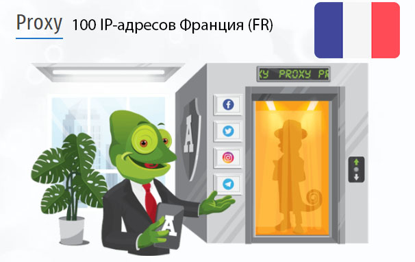 100 прокси оптом France (fr) Стоимость 100 пакетных прокси Франция (FR)