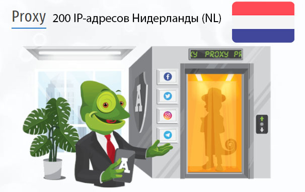 200 прокси оптом Netherlands (nl) Стоимость 200 пакетных прокси Нидерланды (NL)